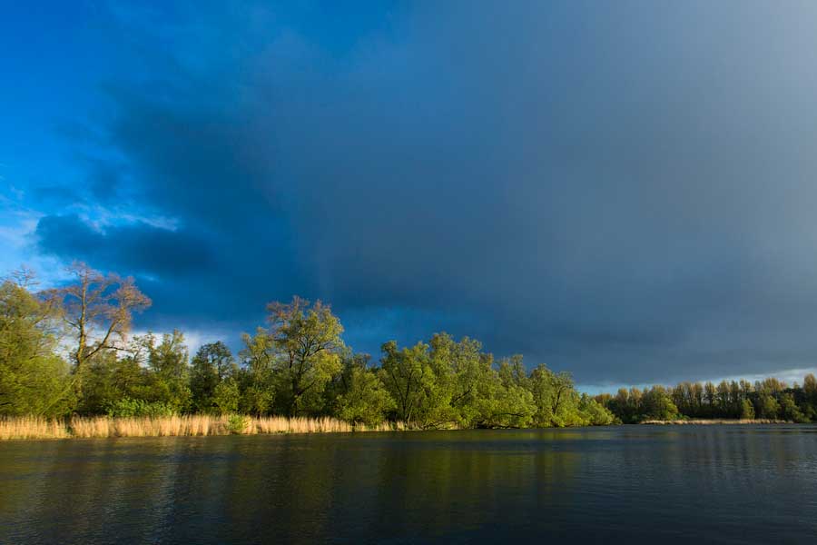 Biesbosch © Ruben Smit