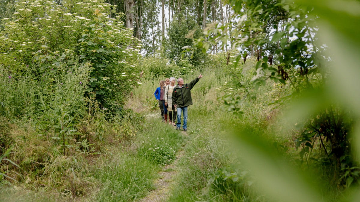 Rondleiding door het Almeerderhout