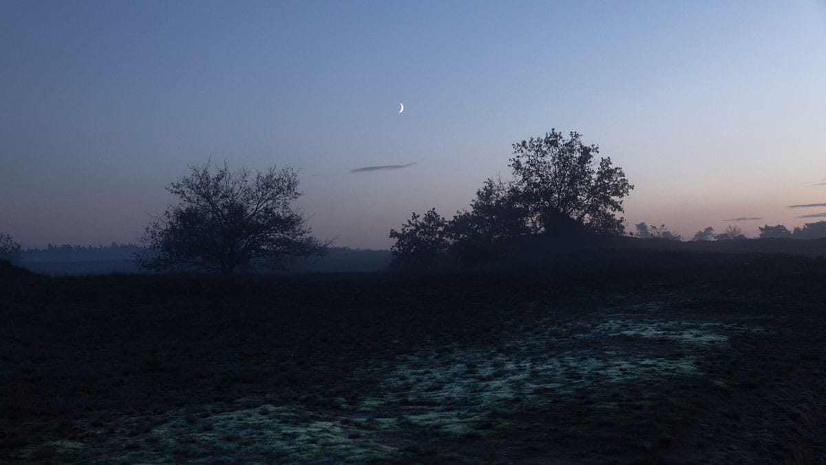 kootwijkerzand in de nacht